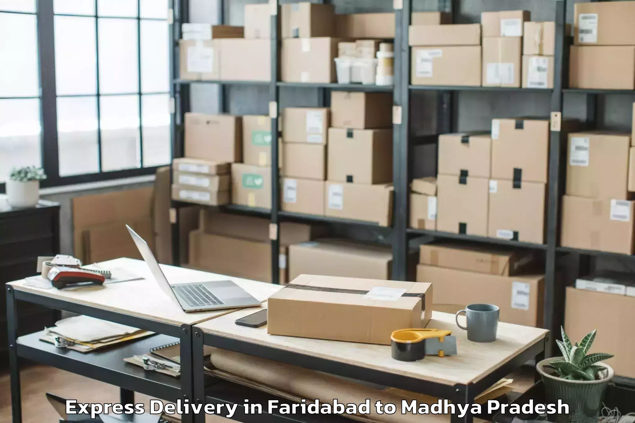 Quality Faridabad to Orchha Express Delivery